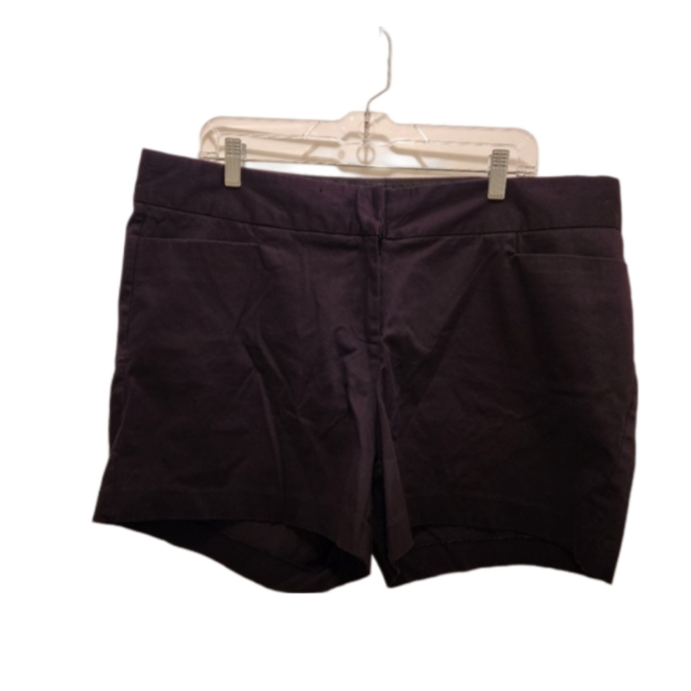 The Limited Shorts